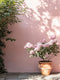 Lullaby Exterior Masonry Paint - Image 8