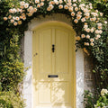 Merry-Go-Round Exterior Front Door Paint - Image 1