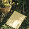 Merry-Go-Round Exterior Front Door Paint - Image 5
