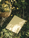 Merry-Go-Round Exterior Front Door Paint - Image 5