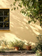 Merry-Go-Round Exterior Masonry Paint - Image 4