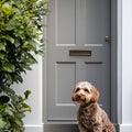 Musket Exterior Door Front Door Paint - Image 4