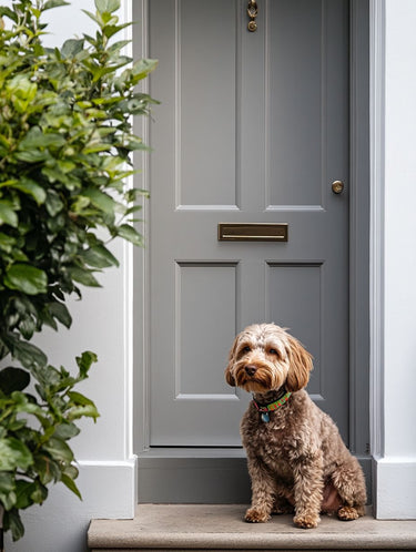 Musket Exterior Door Front Door Paint - Image 4