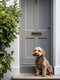 Musket Exterior Door Front Door Paint - Image 4