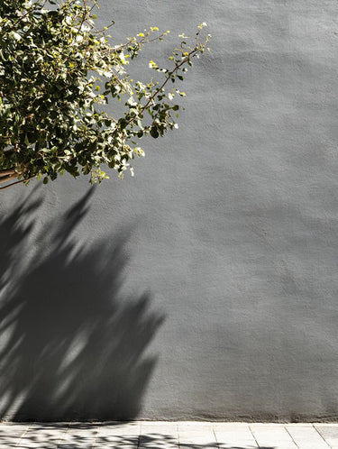 Musket Exterior Masonry Paint - Image 6