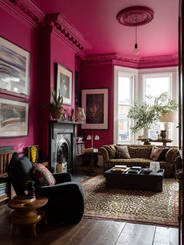 Paloma Interior Emulsion Paint - Image 3