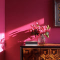 Paloma Interior Emulsion Paint - Image 4