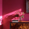 Paloma Interior Emulsion Paint - Image 4