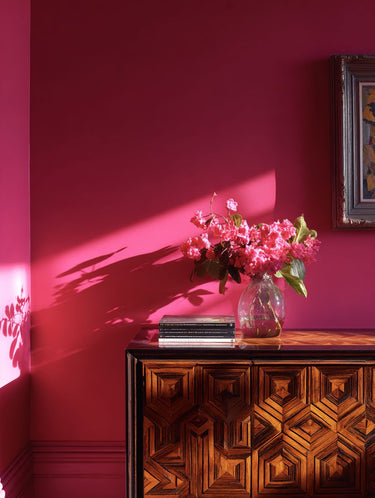 Paloma Interior Emulsion Paint - Image 4