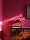 Paloma Interior Emulsion Paint - Image 4