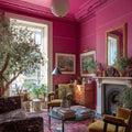 Paloma Interior Emulsion Paint - Image 5