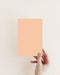 Parade Exterior Front Door Paint - Image 2