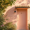 Parade Exterior Masonry Paint - Image 11