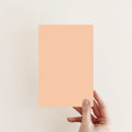 Parade Exterior Masonry Paint - Image 2
