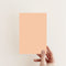 Parade Exterior Masonry Paint - Image 2