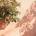 Parade Exterior Masonry Paint - Image 7