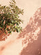 Parade Exterior Masonry Paint - Image 7