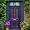 Pulp Exterior Front Door Paint - Image 1