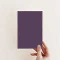 Pulp Exterior Front Door Paint - Image 2