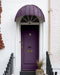 Pulp Exterior Front Door Paint - Image 3