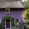 Pulp Exterior Masonry Paint - Image 3