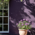Pulp Exterior Masonry Paint - Image 4