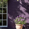 Pulp Exterior Masonry Paint - Image 4