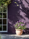Pulp Exterior Masonry Paint - Image 4