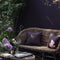 Pulp Exterior Masonry Paint - Image 5
