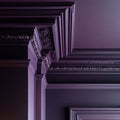 Pulp Interior Emulsion Paint - Image 2