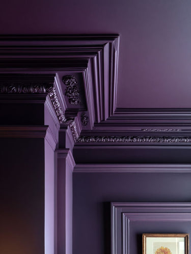 Pulp Interior Emulsion Paint - Image 2