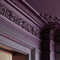 Pulp Interior Emulsion Paint - Image 6