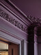 Pulp Interior Emulsion Paint - Image 6