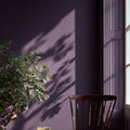 Pulp Interior Emulsion Paint - Image 7