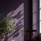 Pulp Interior Emulsion Paint - Image 7