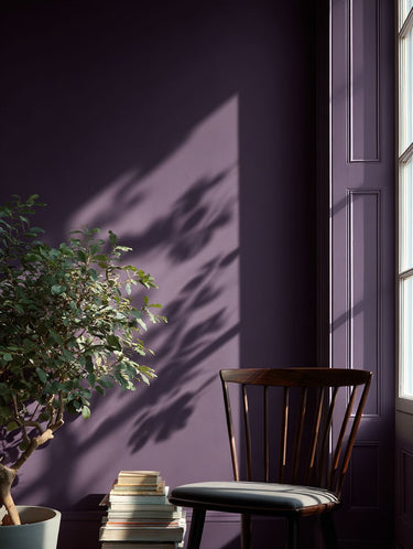 Pulp Interior Emulsion Paint - Image 7