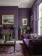 Pulp Interior Emulsion Paint - Image 8