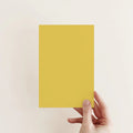 Rain Coat Exterior Masonry Paint - Image 2