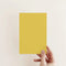 Rain Coat Exterior Masonry Paint - Image 2