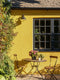 Rain Coat Exterior Masonry Paint - Image 3