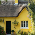 Rain Coat Exterior Masonry Paint - Image 4