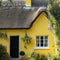 Rain Coat Exterior Masonry Paint - Image 4