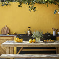 Rain Coat Exterior Masonry Paint - Image 5