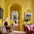 Rain Coat Interior Emulsion Paint - Image 1