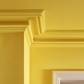 Rain Coat Interior Emulsion Paint - Image 2