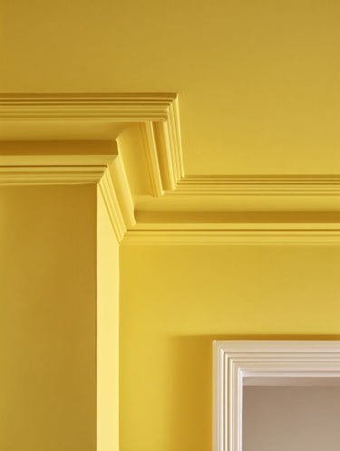 Rain Coat Interior Emulsion Paint - Image 2