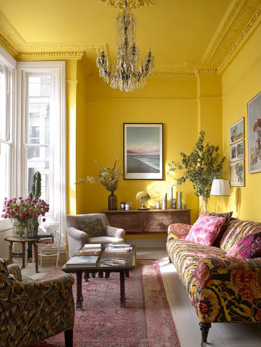 Rain Coat Interior Emulsion Paint - Image 5