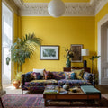 Rain Coat Interior Emulsion Paint - Image 6