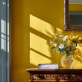 Rain Coat Interior Emulsion Paint - Image 8