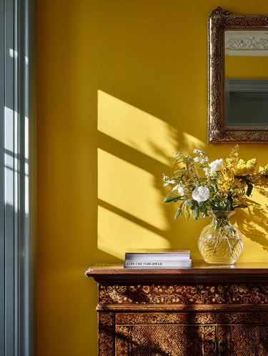 Rain Coat Interior Emulsion Paint - Image 8
